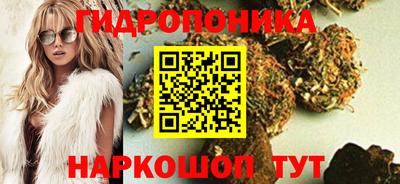 spice Аргун
