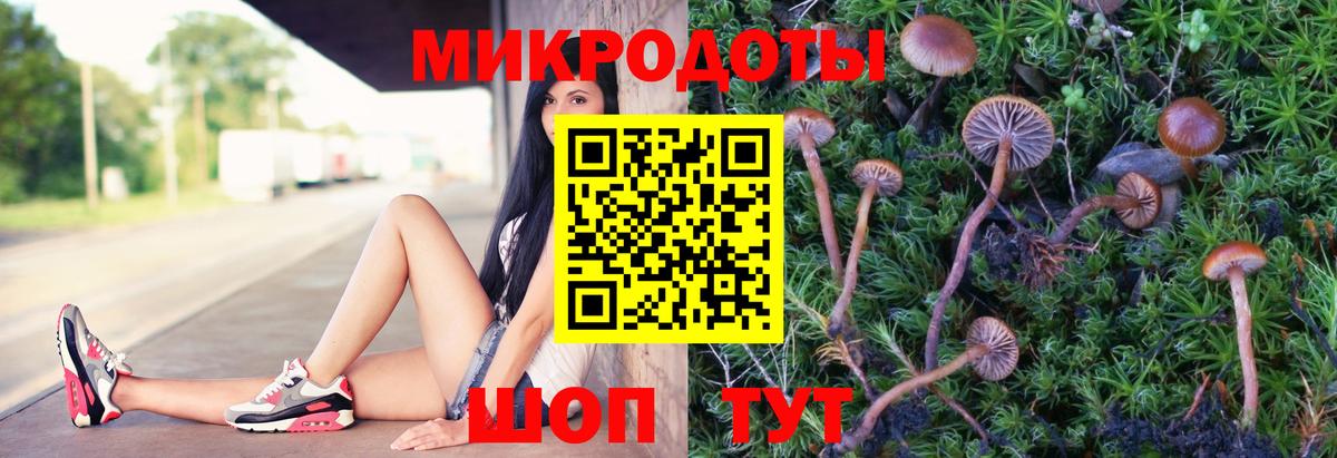 наркотики  Галлюциногенные грибы Cubensis  Вход с VPN  Бугуруслан 