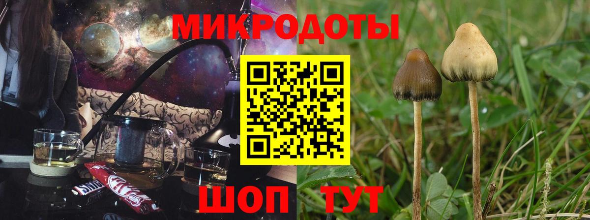 Псилоцибиновые грибы мицелий Бугуруслан